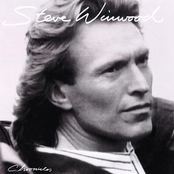 Artwork voor STEVE WINWOOD - WHILE YOU SEE A CHANCE