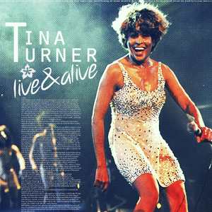 Artwork voor TINA TURNER - WE DON'T NEED ANOTHER HERO